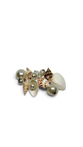 Coquillage